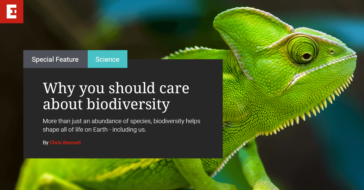 Why You Should Care About Biodiversity | Earlham Institute